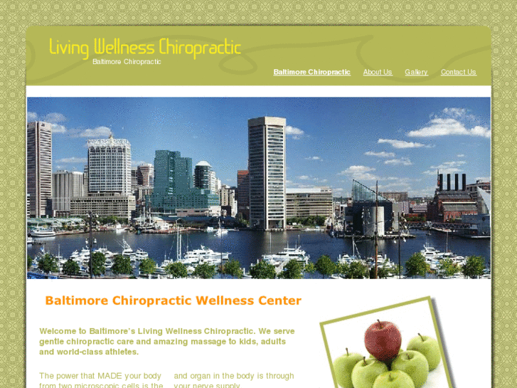 www.baltimore-chiropractic.com