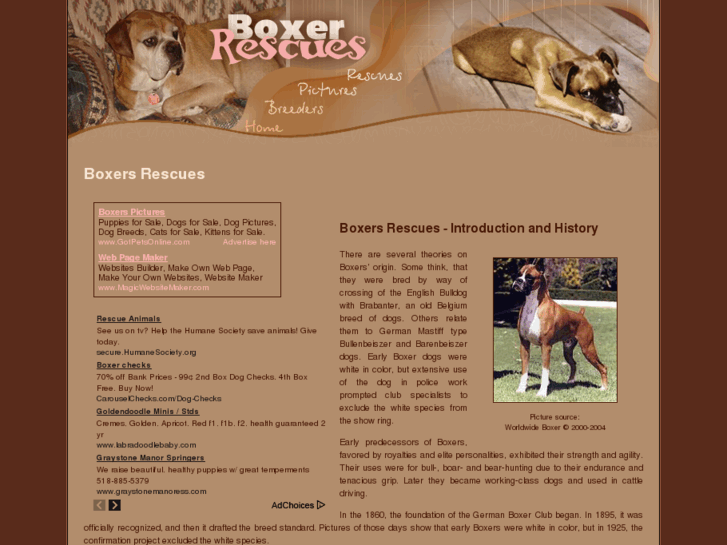www.boxer-rescues.com