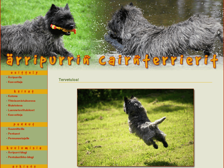 www.arripurrin.fi
