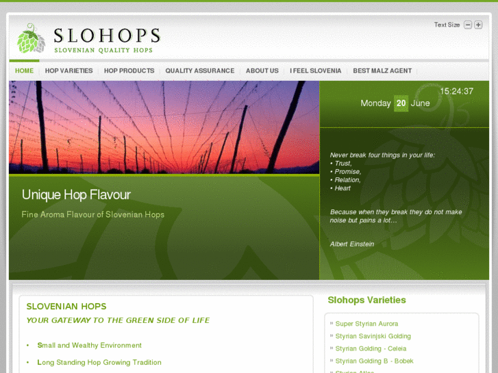 www.slohops.com