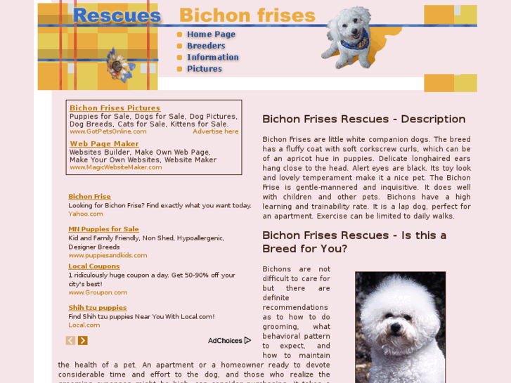 www.bichon-frises-rescues.com