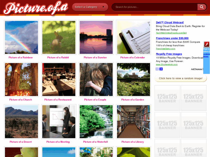 www.pictureofa.net