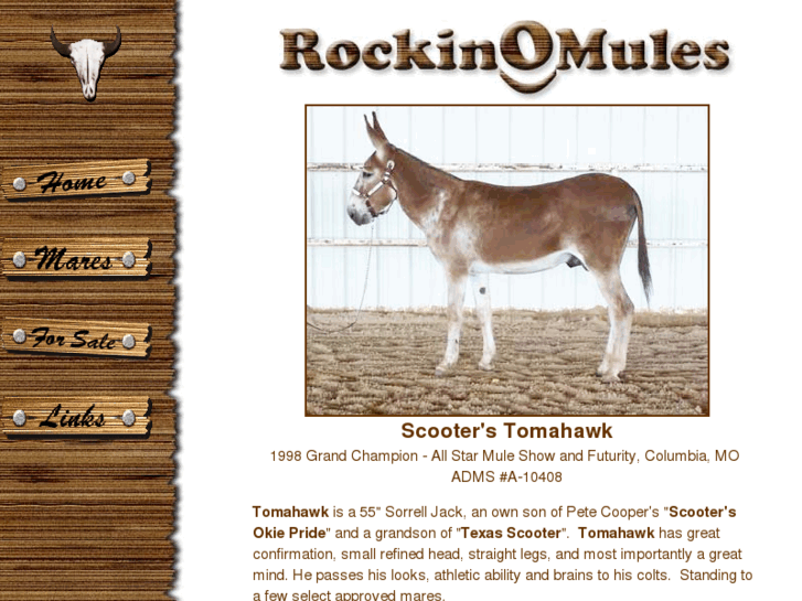 www.rockinomules.com