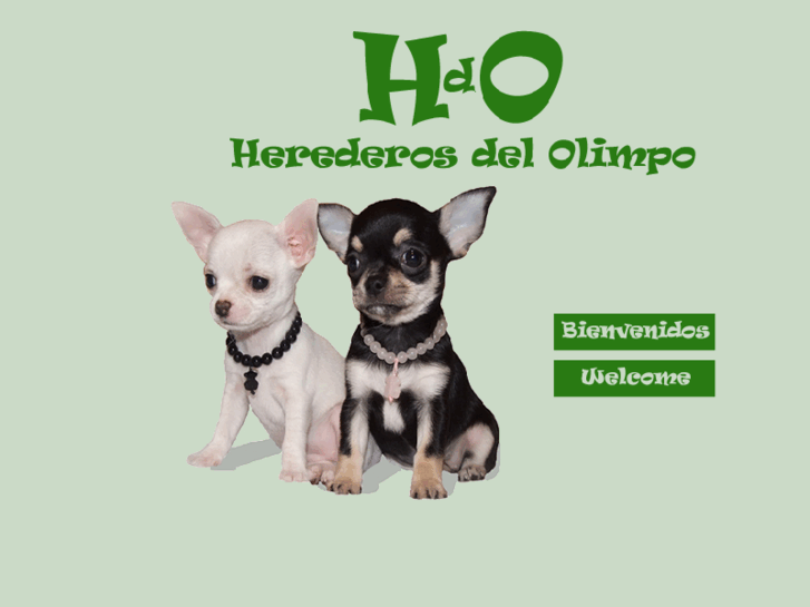www.herederosdelolimpo.es