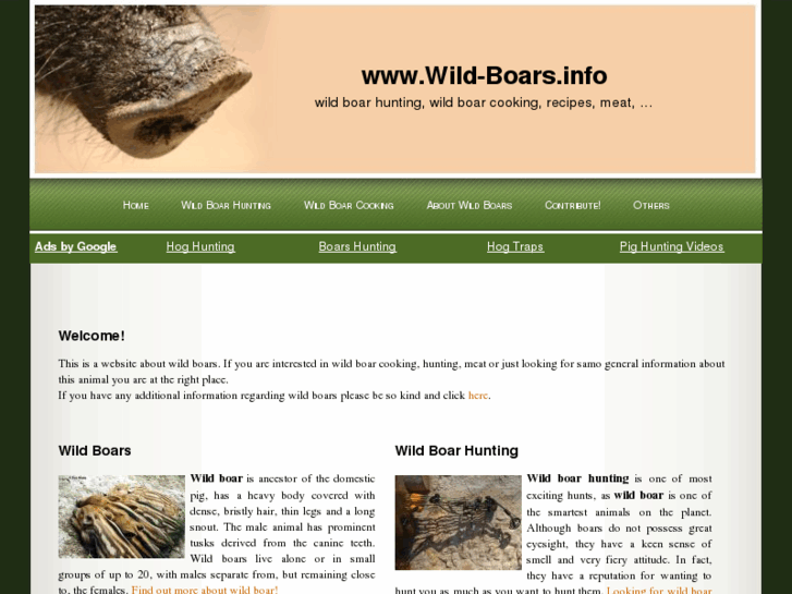 www.wild-boars.info