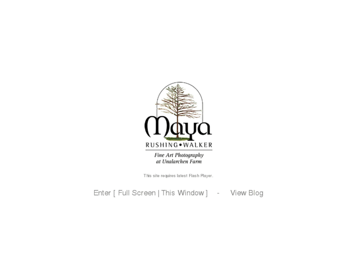 www.studiomaya.net