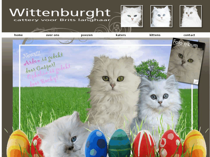 www.wittenburght.com
