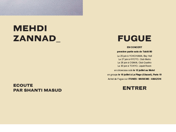 www.mehdizannad.com