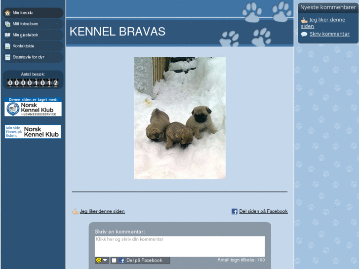 www.bravas.biz