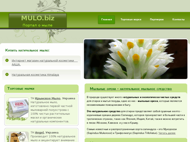 www.mulo.biz