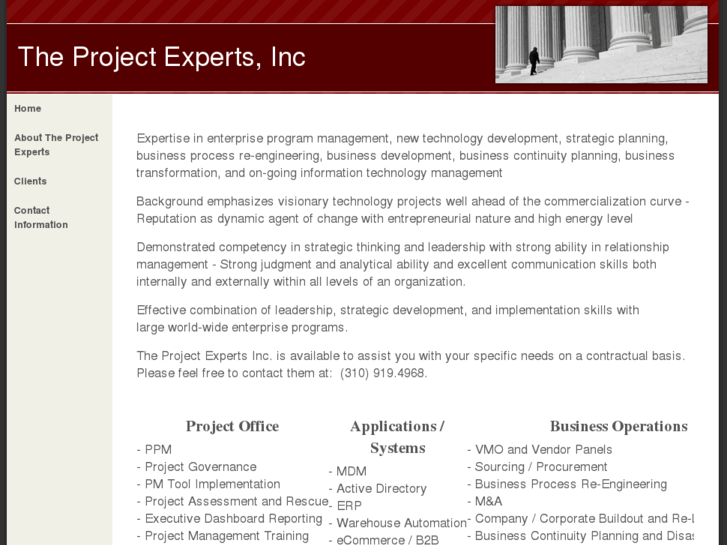 www.theprojectexperts.com