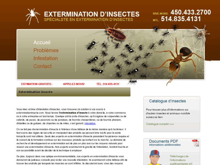 www.exterminationinsecte.com