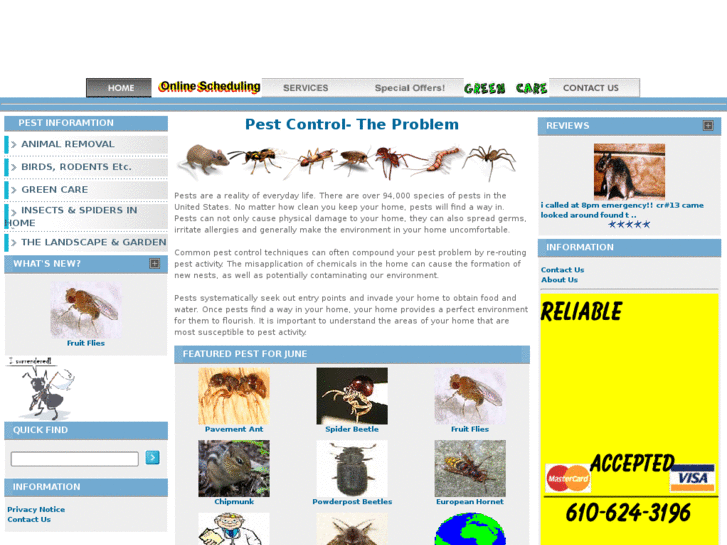 www.ikagpest.com