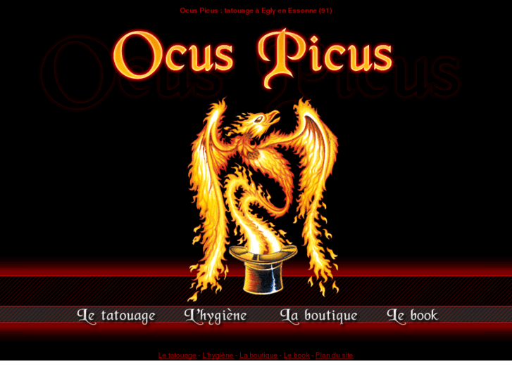 www.ocuspicus.com