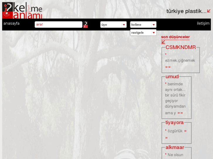 www.kelimeanlami.com