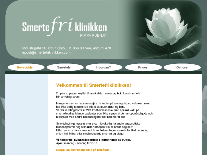www.smertefriklinikken.com
