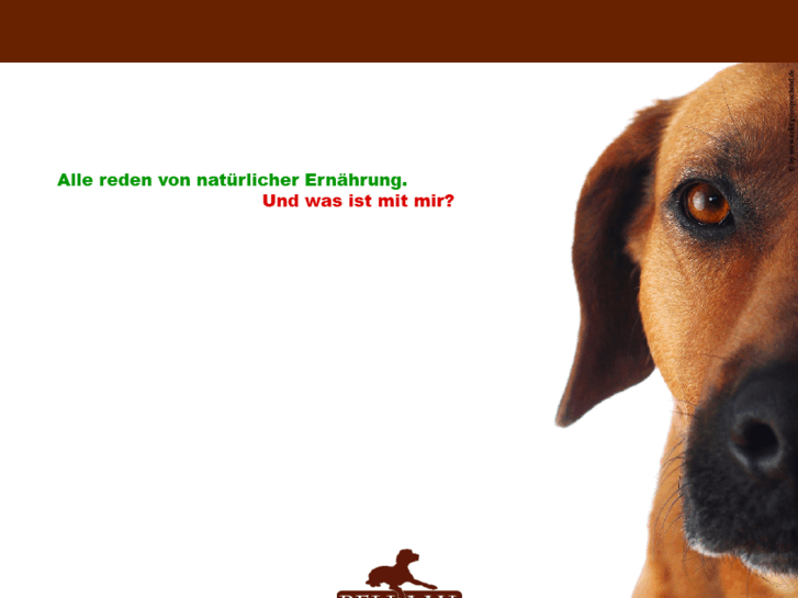 www.barfexpress.com