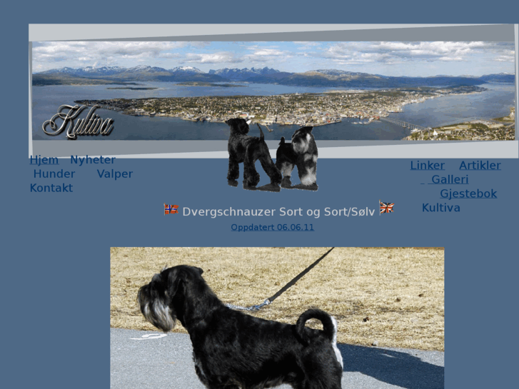 www.jb-dvergschnauzer.com