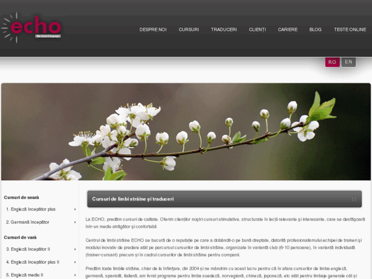 www.theecho.ro