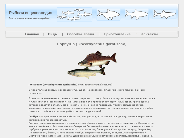 www.gorbusha.info