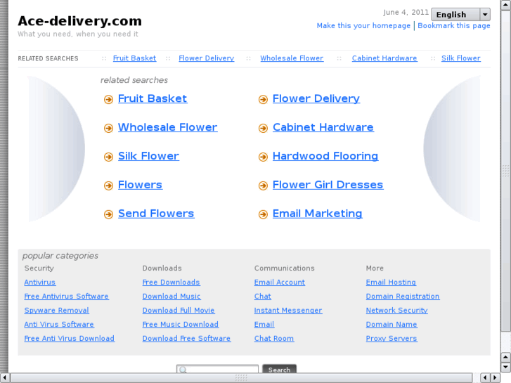 www.ace-delivery.com