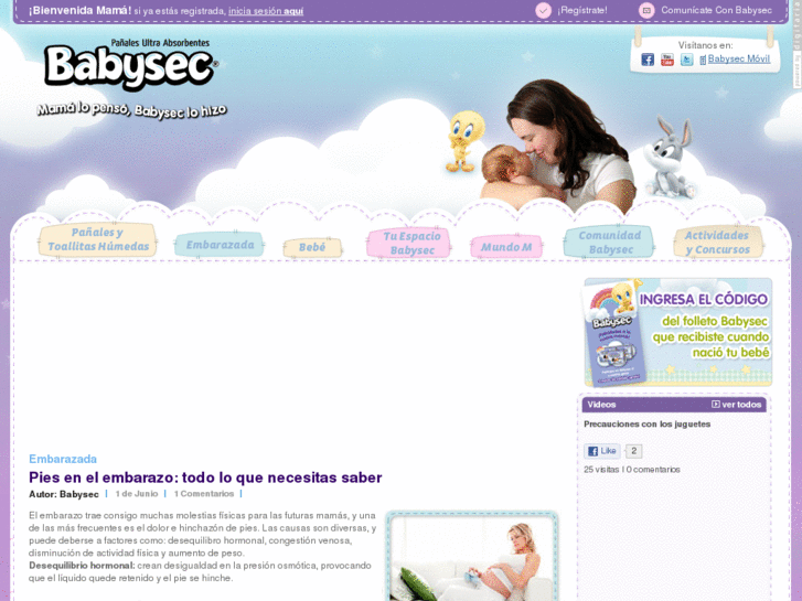 www.babysec.cl