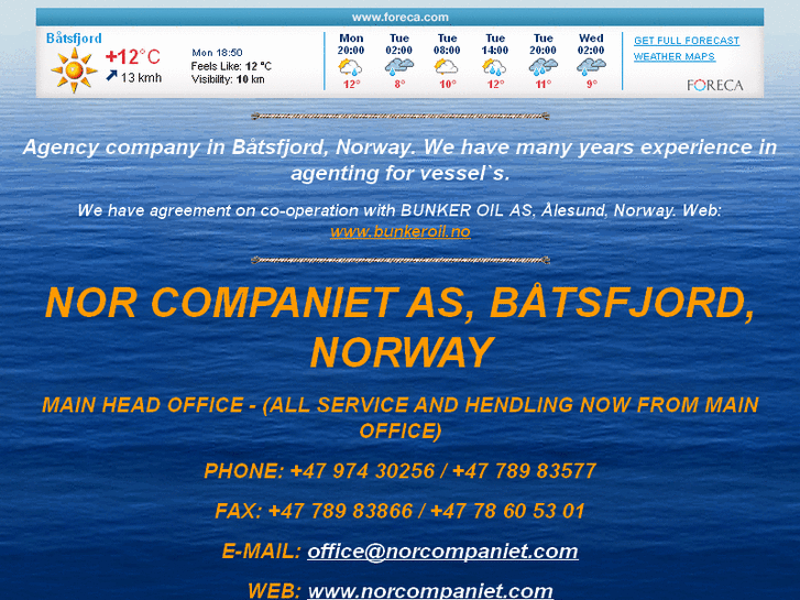 www.bagenzy.com