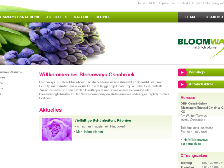 www.obh-blumen.de