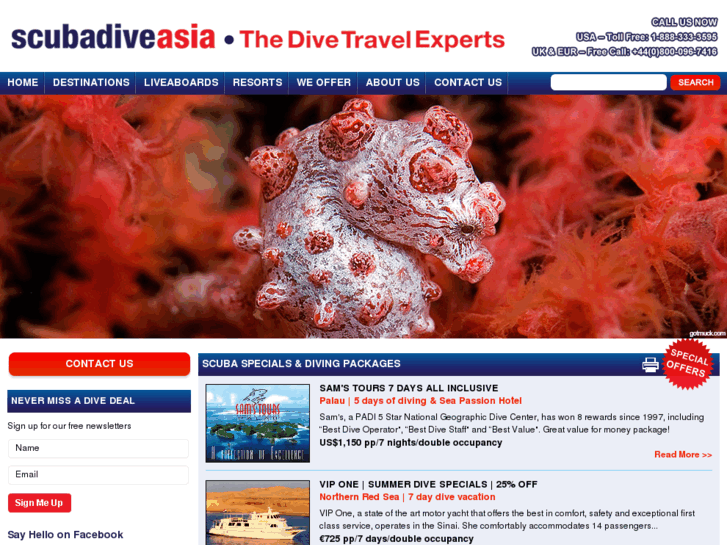 www.indonesiadive.com
