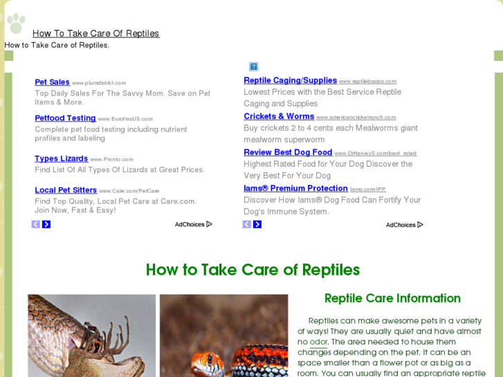 www.howtotakecareofreptiles.com