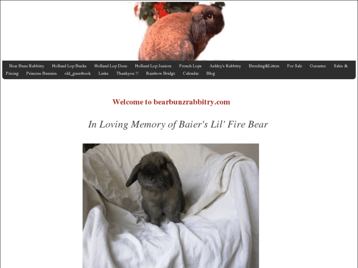 www.bearbunzrabbitry.com