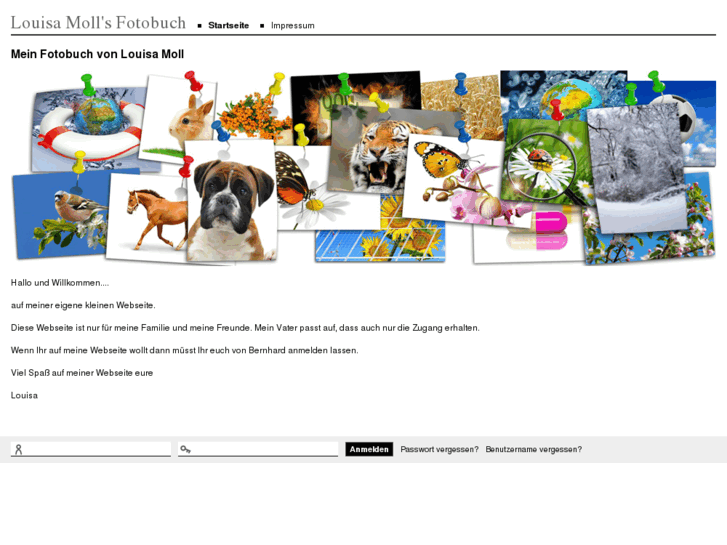 www.louisa-moll.com