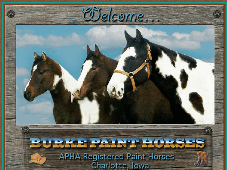 www.burkepaints.com