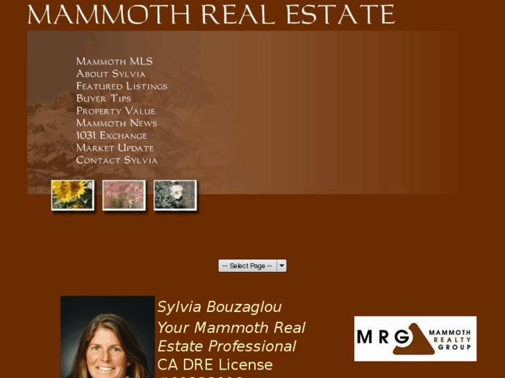 www.propertyinmammoth.com