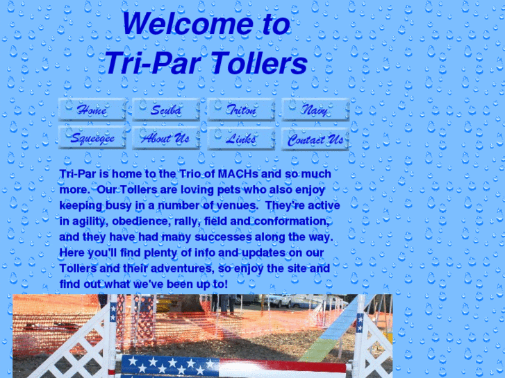 www.tri-partollers.com