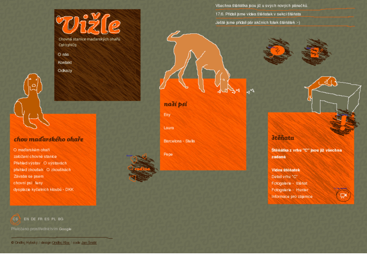 www.vizle.cz