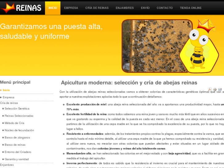www.abejasreinas.com