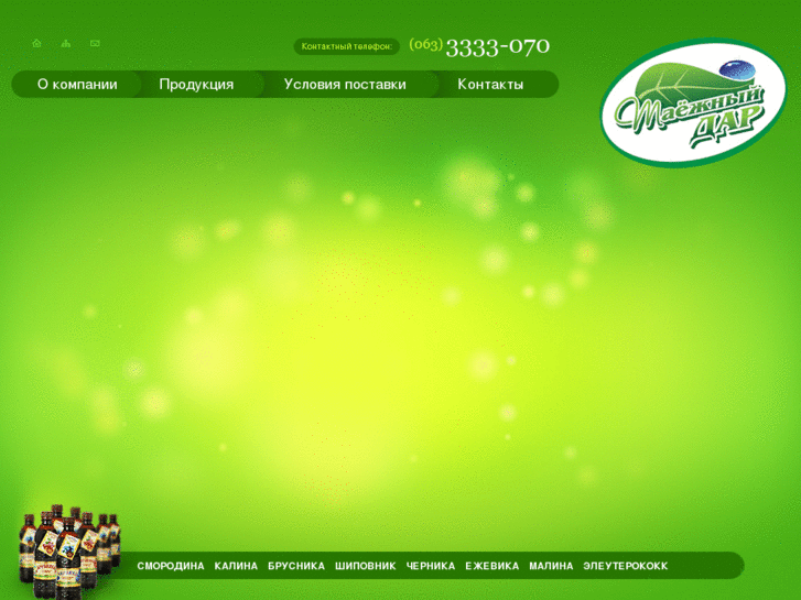 www.shmigin.com