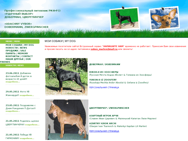 www.udachnyvybor.com