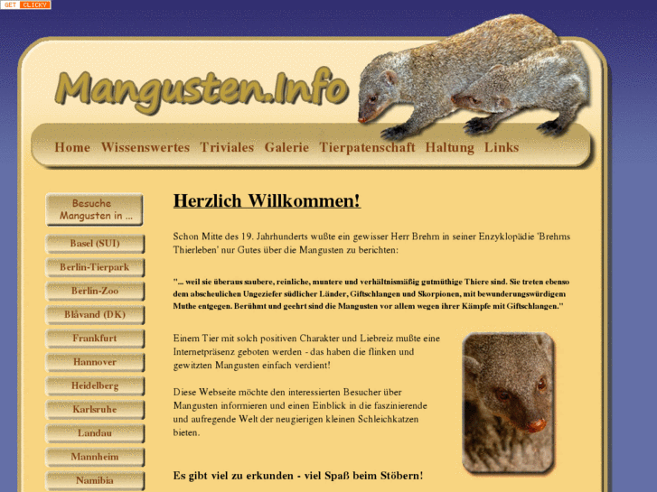 www.mangusten.info