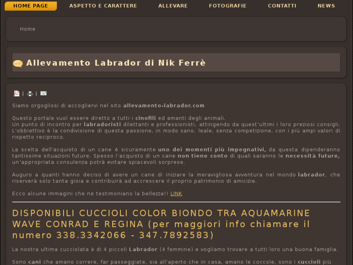 www.allevamento-labrador.com