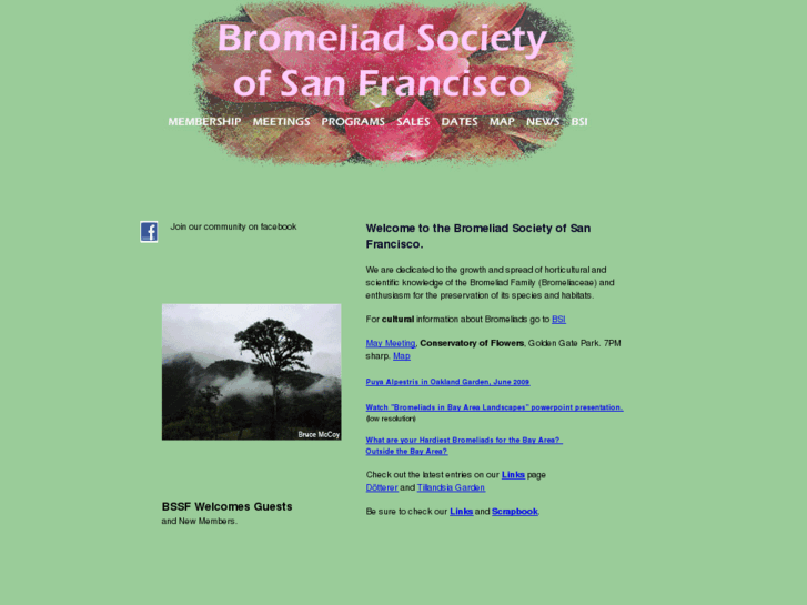 www.sfbromeliad.org