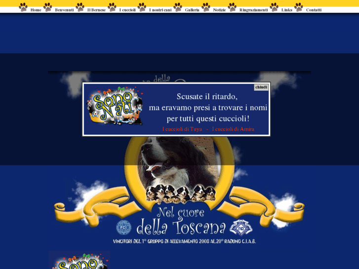 www.allevamentodelbernese.it