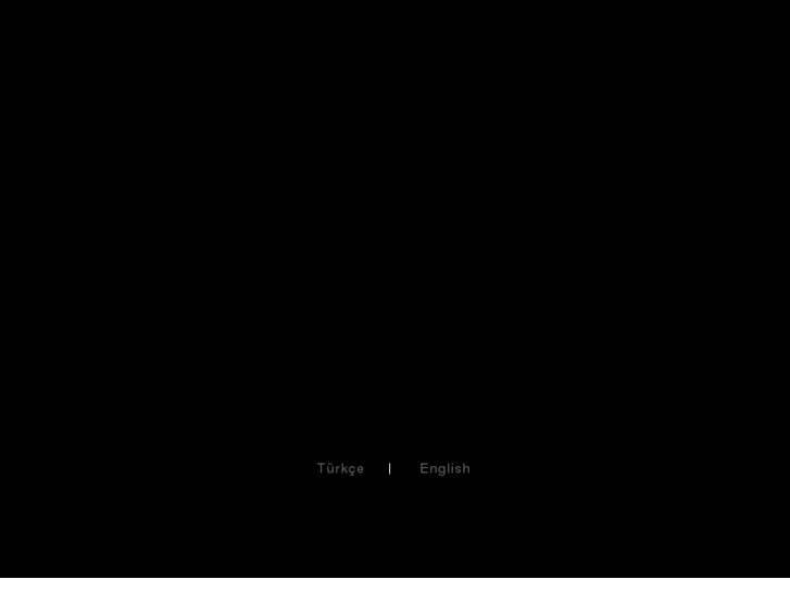 www.tolgasaracoglu.com
