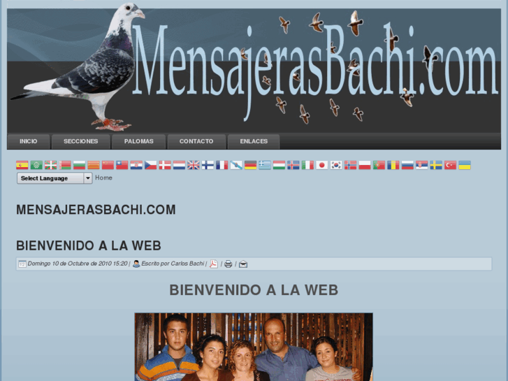 www.mensajerasbachi.com
