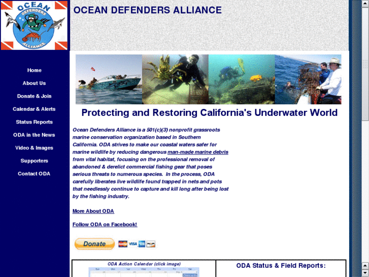 www.oceandefenders.com