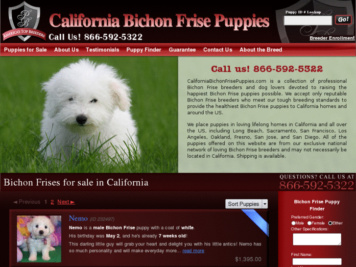 www.californiabichonfrisepuppies.com