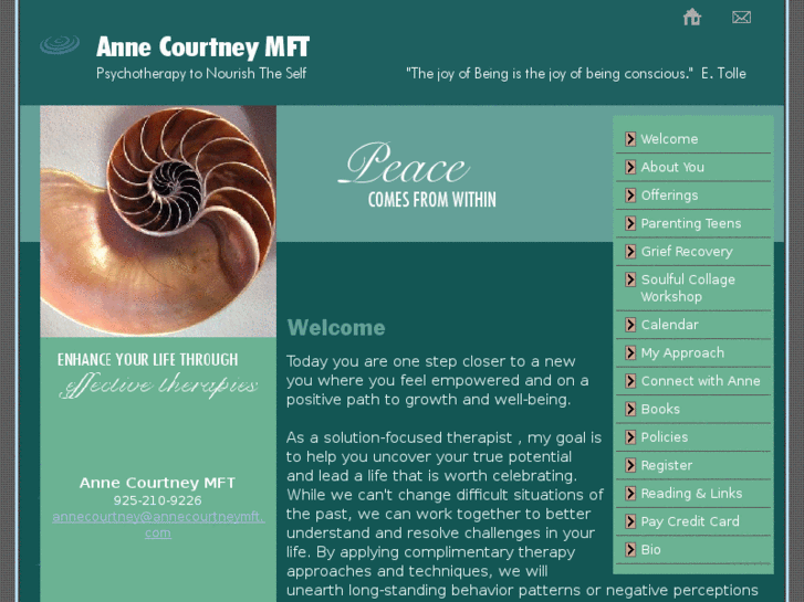 www.annecourtneymft.com
