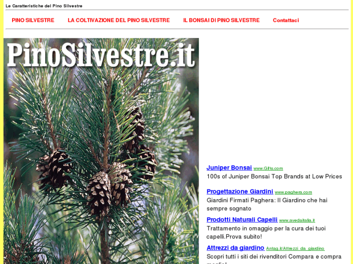 www.pinosilvestre.it