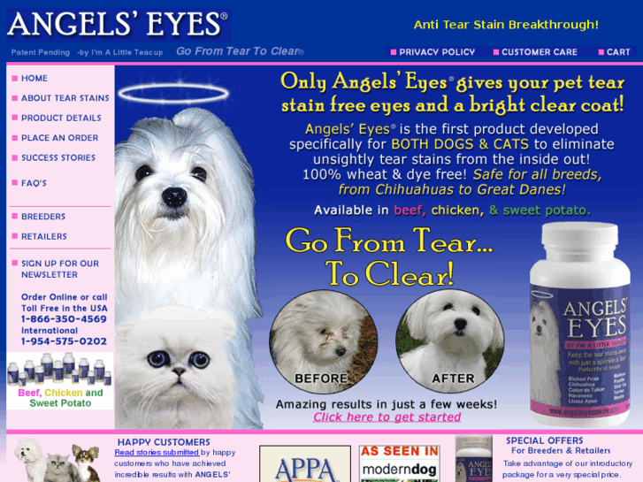 www.angelseyesonline.com